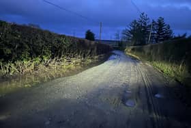 Anger as three drivers burst tyres on same Offaly road in half hour period PIC: John Clendenen/Facebook