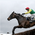 Clonmel hosts a seven-race National Hunt card this afternoon