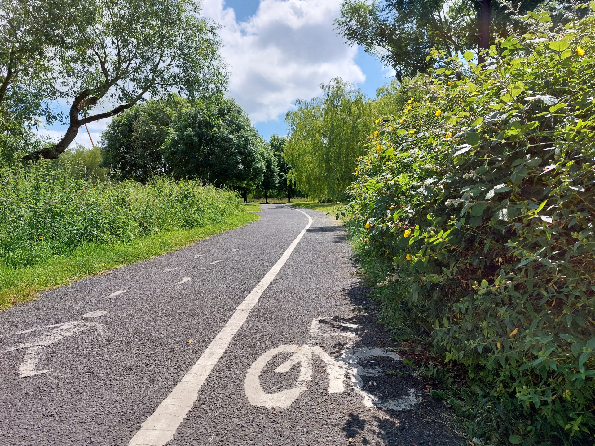 Slow progress to make Portlaoise truly cycle friendly