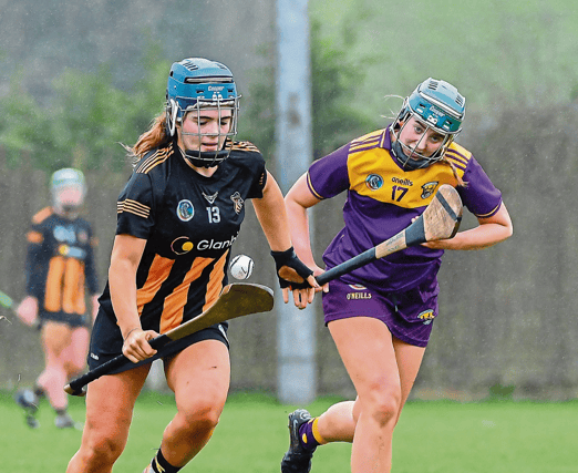 Afton Grace (Kilkenny) in action against Wexford’s Roisin Cooney. Picture: Billy Culleton