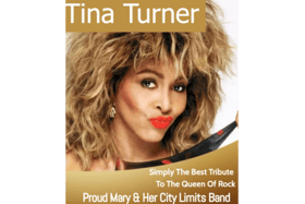 A Tina Turner tribute show will be held at Hotel Minella in Clonmel on March 31