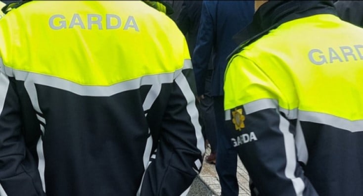 Car sale meet-up in County Kildare leads to theft incident