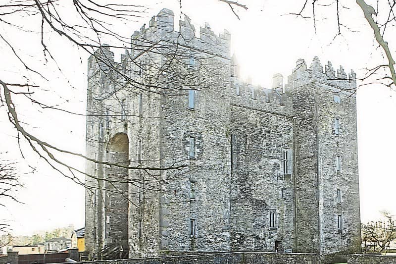 A bakery at Bunratty Castle and Folk Park was ordered to close last month