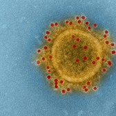 Coronavirus Covid-19