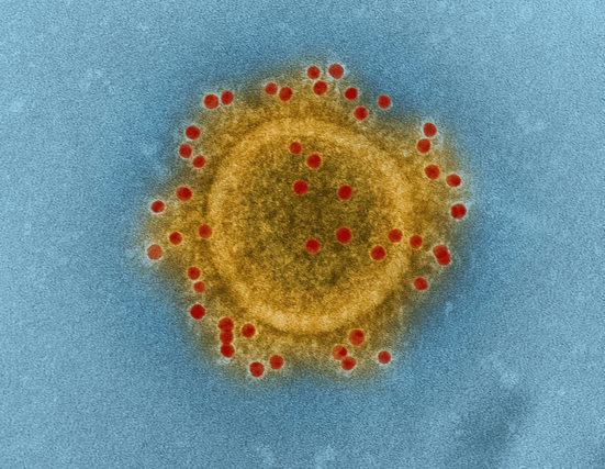 Coronavirus Covid-19