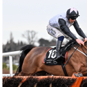 Kala Conti, with Danny Gilligan up, jump the last on their way to winning the Mercedes Benz South Dublin Juvenile Hurdle at Leopardstown. Picture: David Fitzgerald/Sportsfile