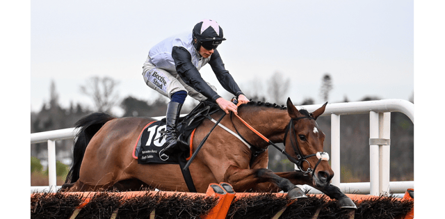 Kala Conti, with Danny Gilligan up, jump the last on their way to winning the Mercedes Benz South Dublin Juvenile Hurdle at Leopardstown. Picture: David Fitzgerald/Sportsfile