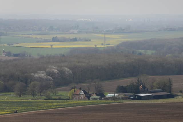 Halve meat and dairy in diet to reduce nitrogen pollution, says UN