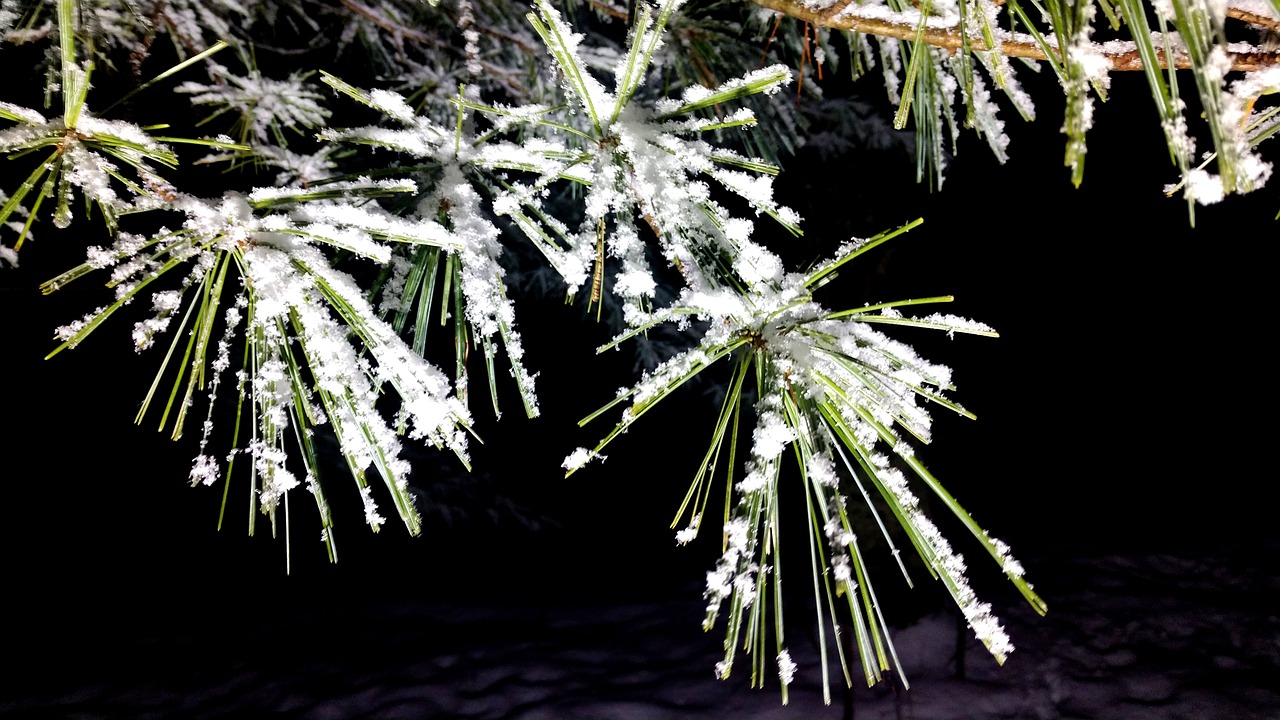 Alert: Hazardous conditions forecast in Clare as ice warning takes effect