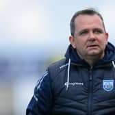Waterford hurling manager Davy Fitzgerald. PIC: Sportsfile