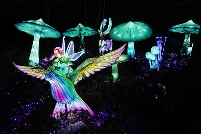Dr Christoph Schwitzer, director of Dublin Zoo, said: “Visitors will get a unique insight into the magical happenings that take place when the sun goes down and our nocturnal creatures come to life.
