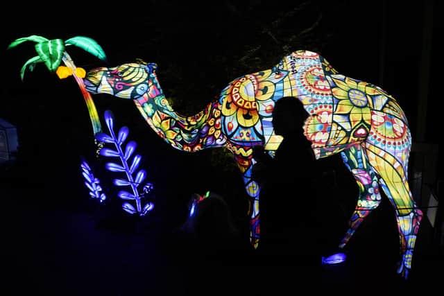 This year’s display includes fairies, mythical creatures, vibrantly coloured animals, a gnome village and a “dreamlike” candy land, all lit up as beautiful silk lanterns.