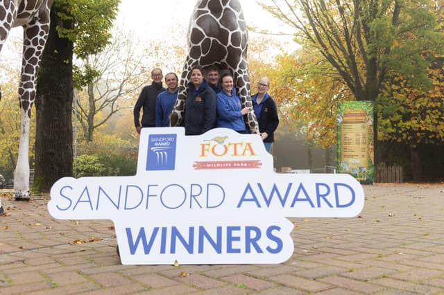 Fota wins again! Image credits: Darragh Kane