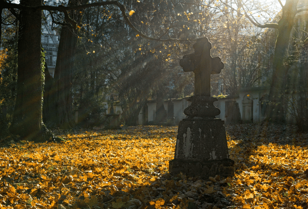 Graveyard Rosaries for the Month of November Rosaries for the Holy Souls will be recited during the month of November