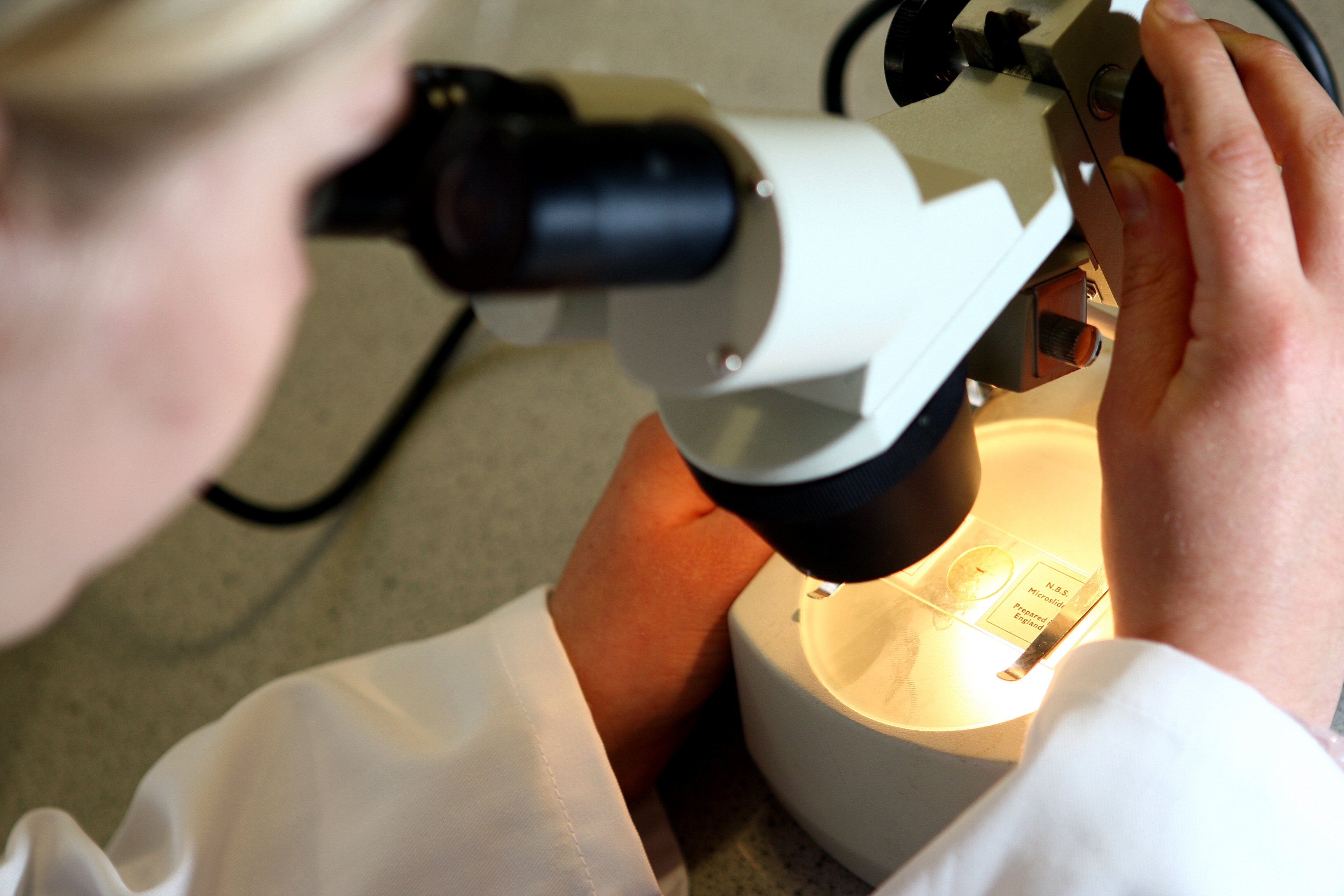 Animal-to-human diseases could kill 12 times as many people by 2050 ...