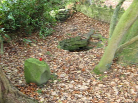 St Peakauns Well is just one of many in Tipperary