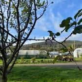The Organic Centre in Rossinver