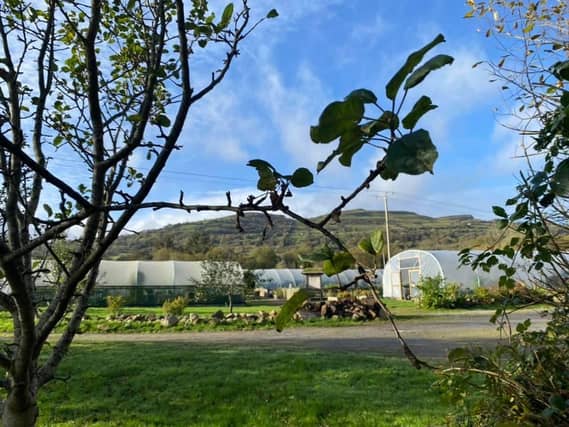 The Organic Centre in Rossinver