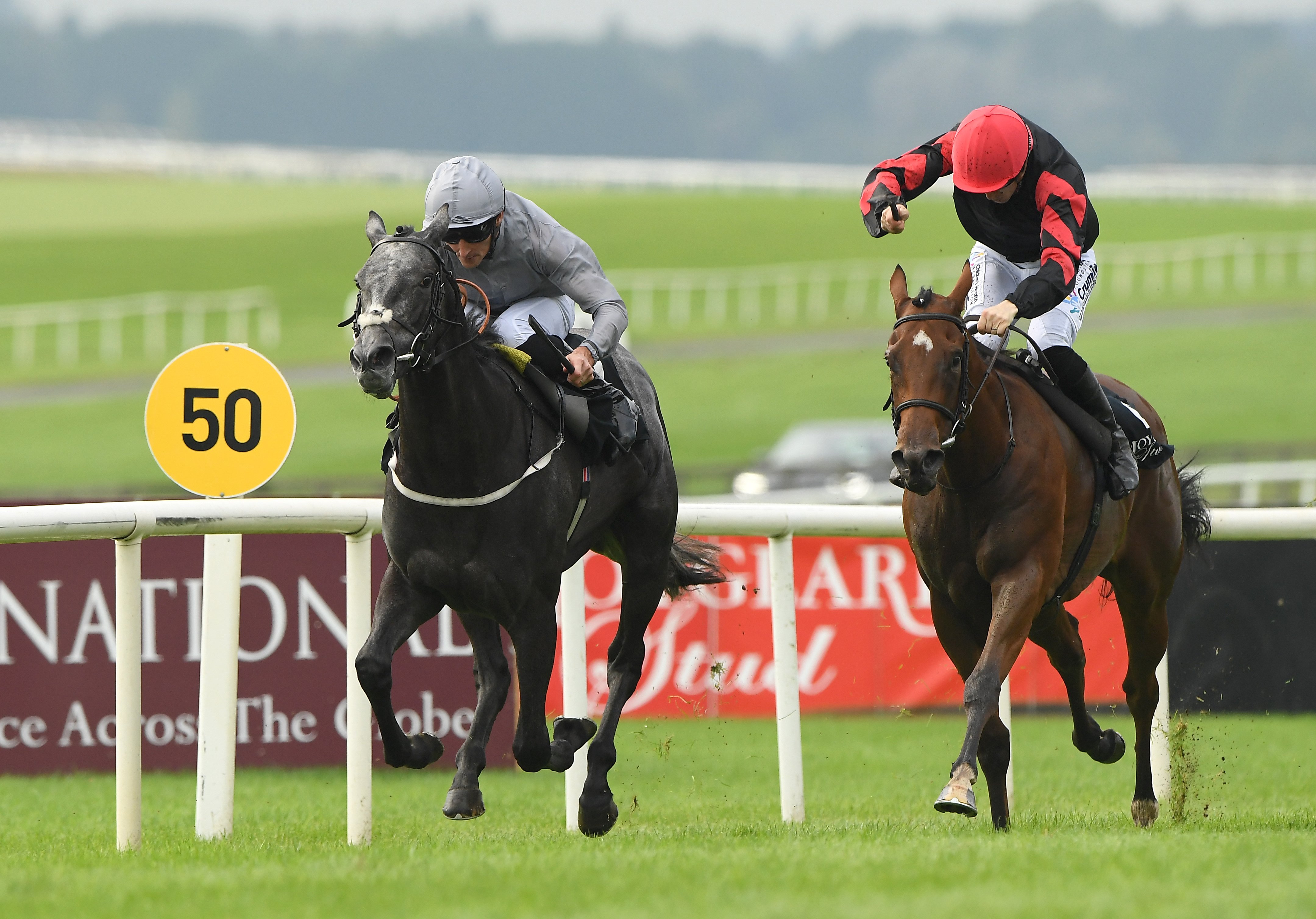Fallen Angel to skip Fillies’ Mile and wait for next year
