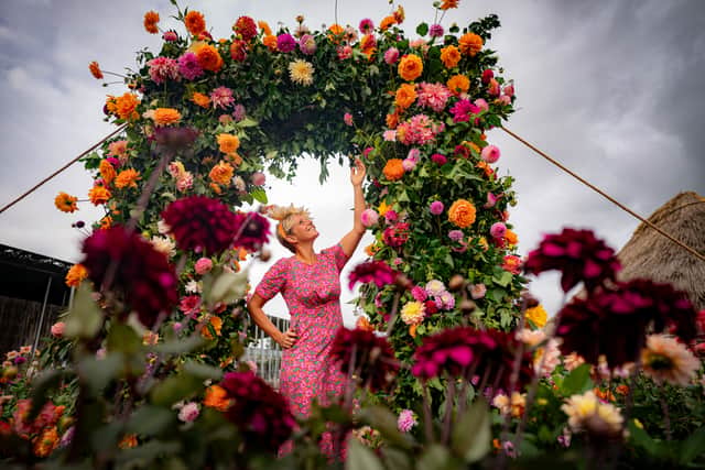 The British grown dahlias, from Oxford, arrived on Tuesday and have been arranged into sculptures and a flower meadow by local groups.
