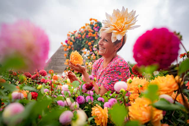 “I’ve grown dahlias for some time and the heroes for me are the single and anemone varieties, which literally give life to a garden, brimming as they are with nectar and pollen for our precious pollinators.”