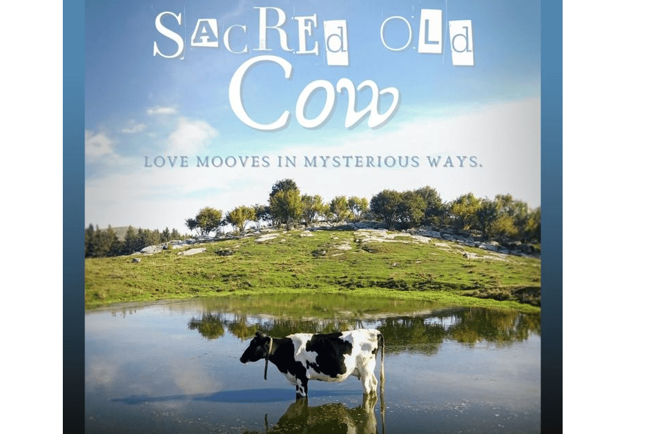Sacred Old Cow will be staged at The Coachman in Parnell Street, Clonmel at 7.30pm this Friday night