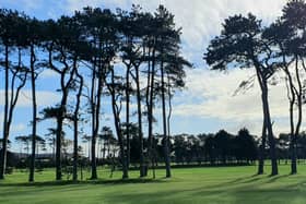 Greenore Golf Club