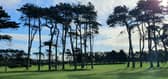 Greenore Golf Club