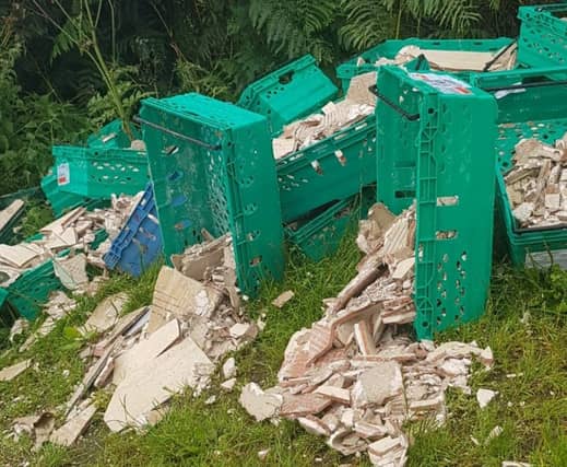 Dumping at one of the top tourist attractions in Laois. Picture Credit Dunamase Community Alert