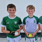 Six  5th class boys from Holycross NS  will be selling sliotars autographed by the Tipp senior hurlers for just €10 in aid of Dillon Quirke Foundation.