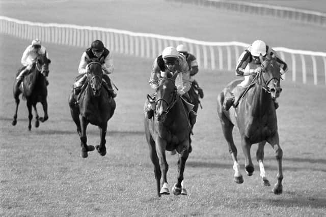 Candy said: “Her Champion Stakes was a remarkable performance. It was very, very wet. If you see pictures of it, all you can see is umbrellas.