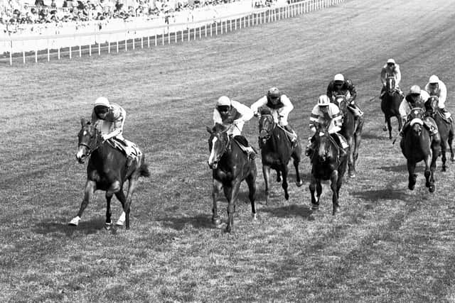 It was easy to see why Candy had trip reservations, since the sire had won races like the Cork and Orrery (now the Queen Elizabeth II Jubilee Stakes), July Cup and the Diadem. Time Charter was the first foal of her dam Centrocon, a high-class racemare who won the Lancashire Oaks.