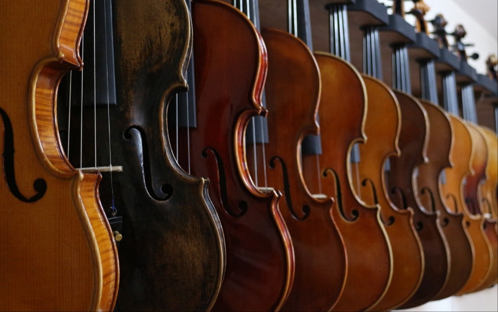 WHATS ON: Free Irish Traditional Music Summer Event at Altamont Carlow