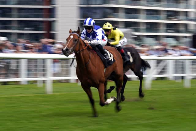 He told Racing TV: “He took everything well in his stride, in the preliminaries, went down nice, jumped good and it was a little bit muddling, a little bit messy mid-race, a few horses a bit green, but he got into a good rhythm and the gap opened. He was a little bit green for a couple of strides and then he picked up nicely.