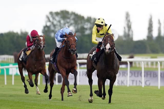 Runner-up to the smart Thunder Blue at Goodwood on debut, the Roger Varian-trained Mehmas colt had clearly learned plenty for the experience and Egan was keen to settle him in behind early, before producing a withering run to coast past debutant Skukuza, with Thyer staying on nicely for third.