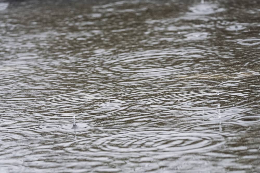 A status yellow weather warning has been issued for County Clare