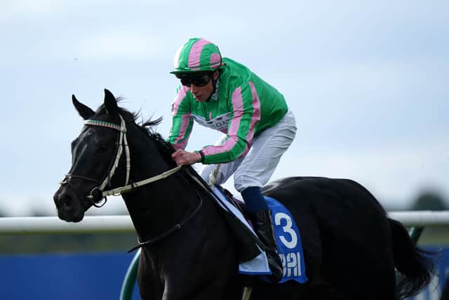 Also poised for an appearance on the Sussex Downs is stable stalwart Pogo, who could attempt to better than last year’s third in the Lennox Stakes following his brave effort at Newmarket in the Criterion Stakes.