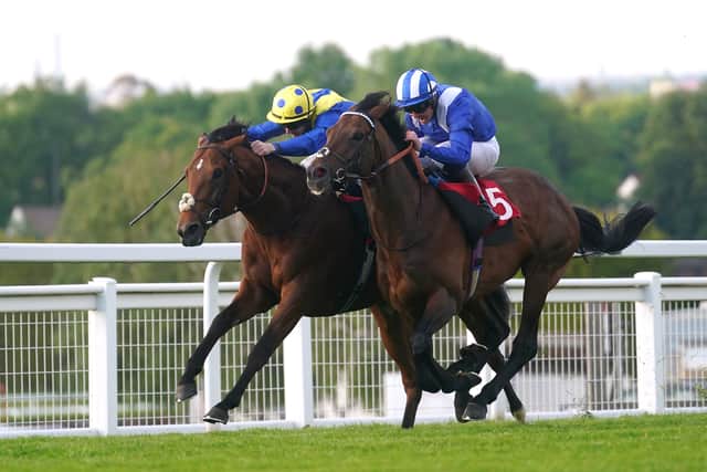 Hukum will be all the rage to down seven rivals in the Hardwicke Stakes following his comeback victory over Desert Crown at Sandown.