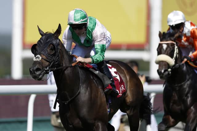 He said: “I was delighted with his run last time at Salisbury. We were just trying to run him a bit differently and he hit the line really well.