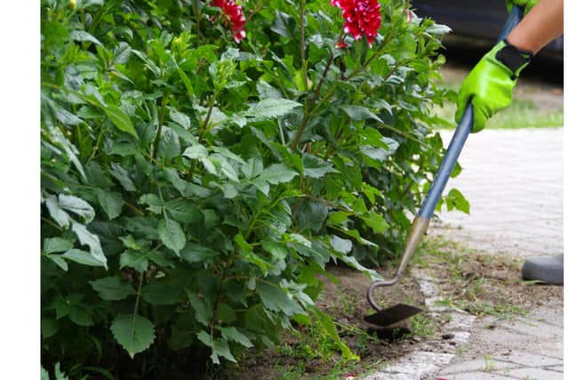 “So, even if you have a small outdoor space, it’s a good idea to get this into shape. Not only could this lead to a quicker sale, but it could even increase your asking price.”