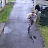 “All of a sudden it let out a big growl and came out of there, and it scared me!”