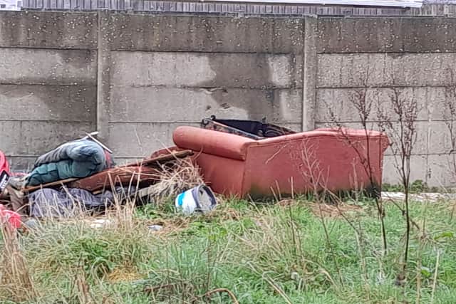 The councillor said action is needed to put a stop to the problem.