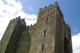 Bunratty Castle and Folk Park is one of the site which will transfer to Clare County Council in the coming months