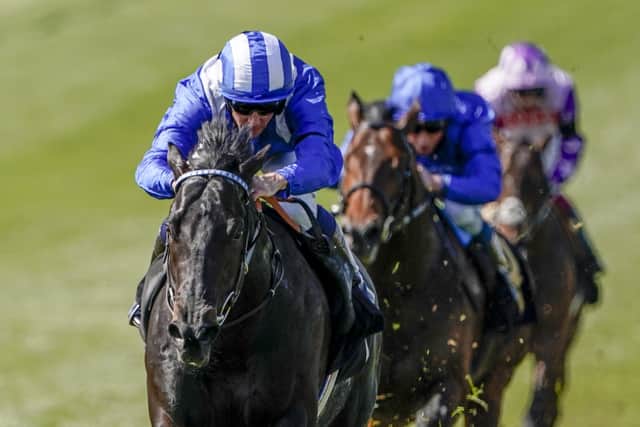 “He seems to have wintered really well and his temperament is excellent now, so especially with the dam Ghanaati, her progeny seem to improve with age.”