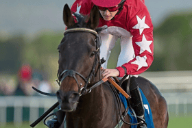 Will local jockey Rachael Blackmore provide some more Cheltenham winners for the punters next week?