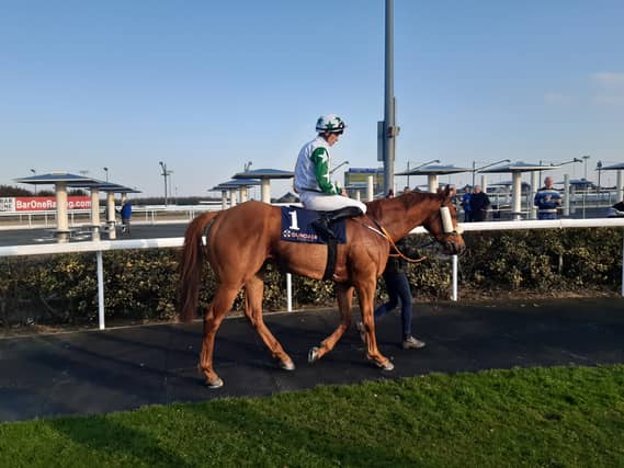 Harry's Bar recorded his seventh win at Dundalk for trainer Ado McGuiness last week. His next outing is set to be in a valuable race in Saudi Arabia