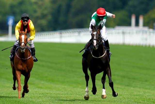 “If it is something we can cure and look after and get him 100 per cent where he’s not lost any ability then we will carry on. If we find it is something worse than that then we will have to deal with it and go on and make him a stallion somewhere.