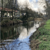 The current walkway along the Nenagh River which will be developed into a greenway