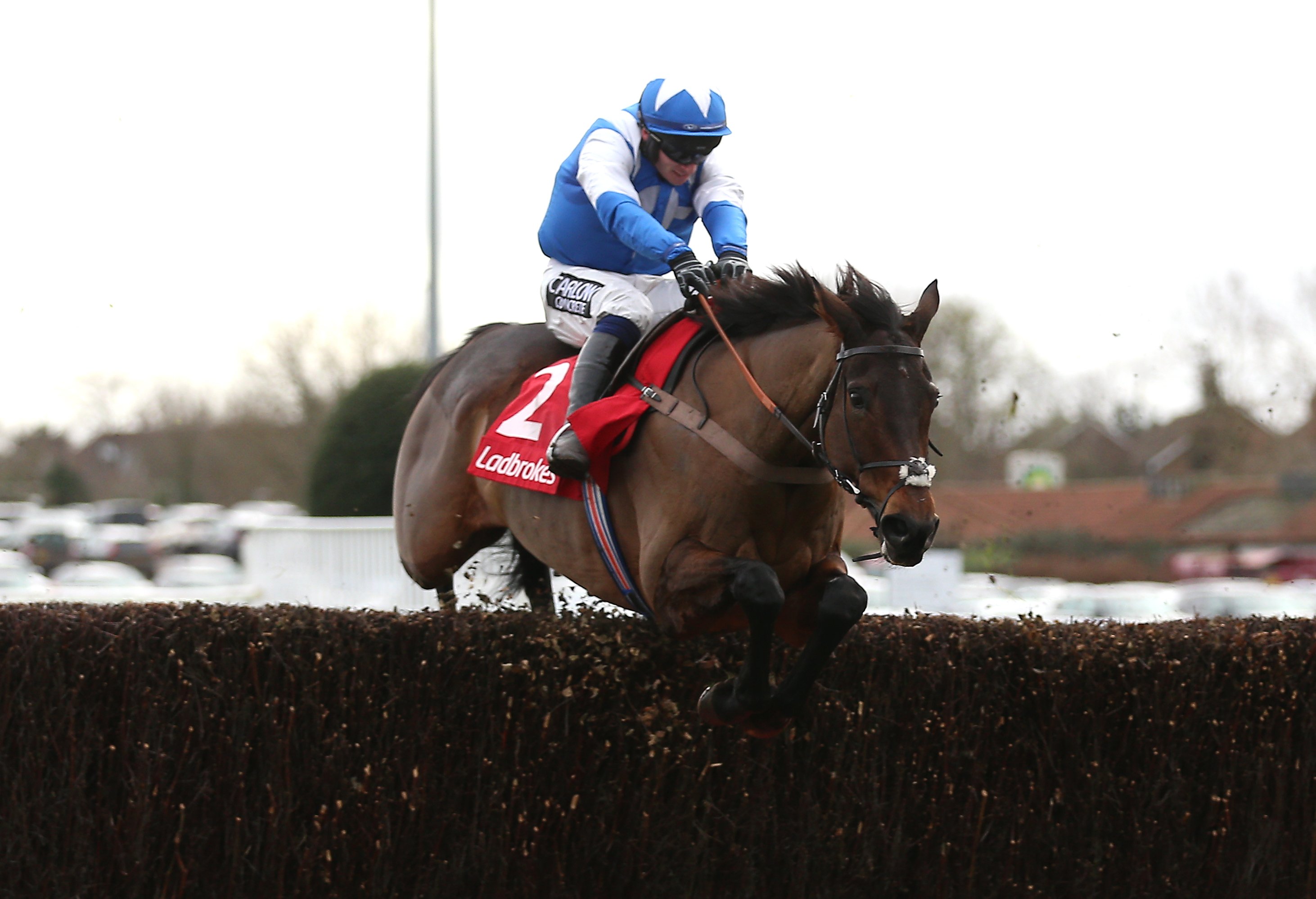 Boothill to bypass Cheltenham rematch with Jonbon