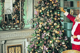 Placing your  tree some place where it isn't facing direct heat will ensure it does not  dry out too fast | Picture: Pexels